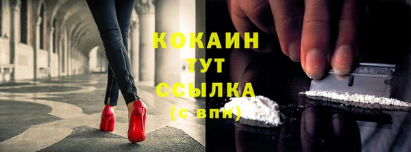 дживик Дмитриев
