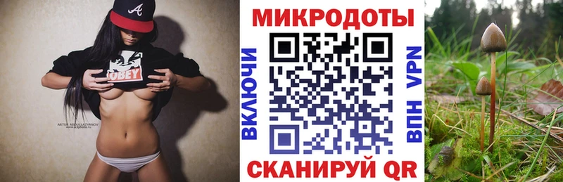 Купить закладки  Карталы  Галлюциногенные грибы Psilocybine cubensis 